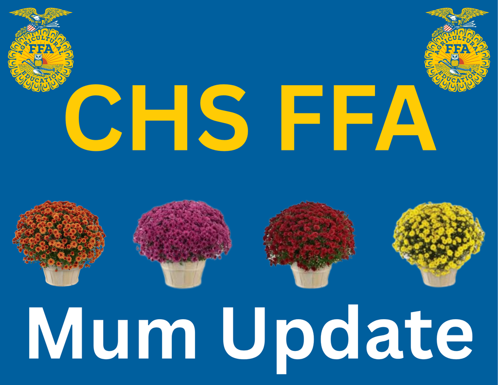 Image for 🐯💛🖤 Claxton High School Tigers – Mum Pickup Reminder! 💛🖤🐯 If you ordered mums, mum pick up will be Wednesday, September 17, 2025 from 3:00 PM – 5:30 PM at the Ag Shop (back of CHS). Please make sure you pick them up that day — we want you to get them when they look their best. 💳 Checks should be made out to CHS FFA. 📧 If you are unable to pick them up, please contact Mr. Turner at dcturner@evanscountyschools.org . Thank you for supporting our Tigers! 🐅💛 #ClaxtonHigh #CHSTigers #BlackAndGold #MumPickup #CHSFFA #TigerPride #TheDen 🖤💛