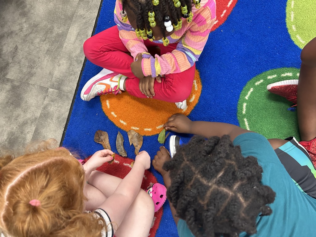 PreK Fall Activities