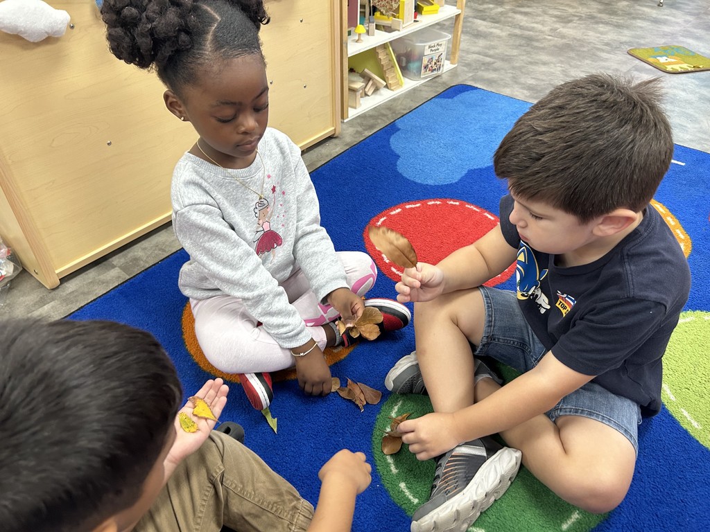 PreK Fall Activities