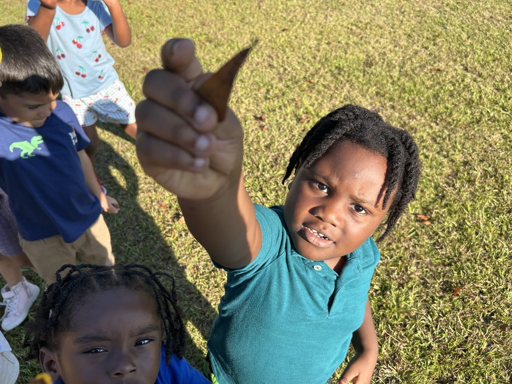 PreK Fall Activities