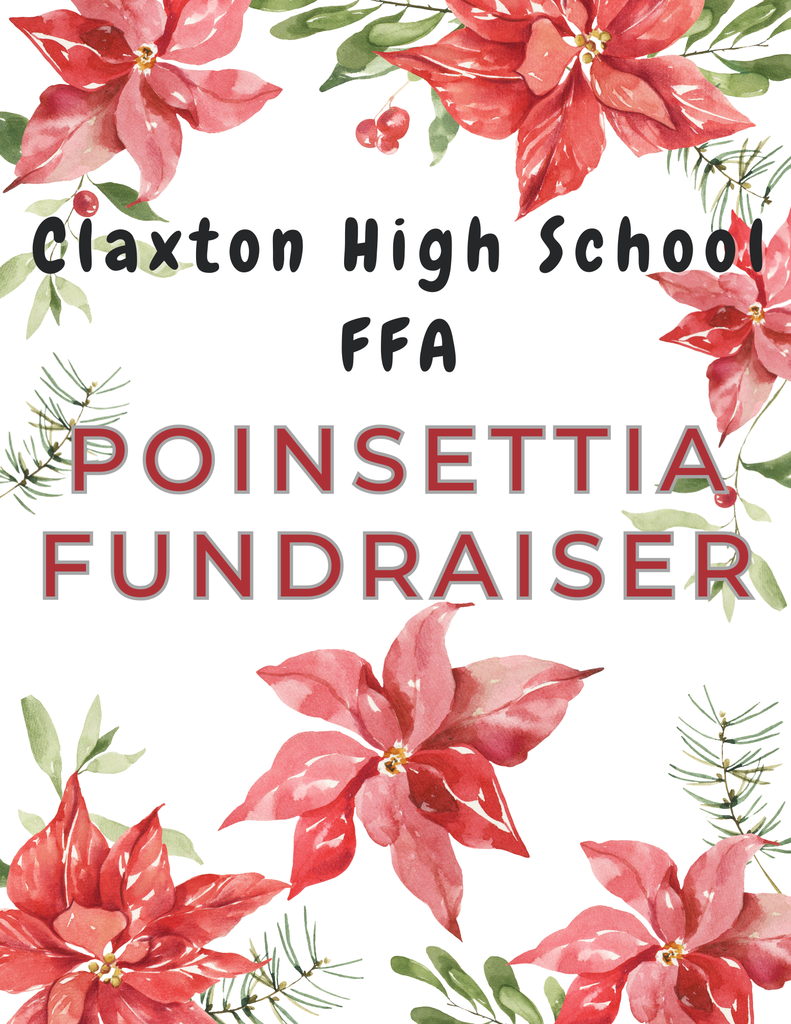 Image showing ✨🎄Claxton High School FFA Poinsettia Sale 🎄✨ Get ready to brighten your holidays! Claxton High School FFA is selling beautiful red poinsettias! Not only are these perfect for decorating, but your purchase directly supports our amazing students! 🧑🌾💰 Here's what you need to know: 6.5 inch pots are $15 10 inch pots are $25 Ordering & Pickup Details 🗓️ Orders are due by Thursday, November 13, 2025. Don't miss out! 🛑 Delivery/Pickup is scheduled for November 18–21, 2025. Contact Information 📧📞 Please contact Mr. Chase Turner (FFA Advisor) directly at dcturner@evanscountyschools.org to place your order or if you have any questions. He will notify everyone closer to the delivery window with the exact pickup date and time! Thank you for supporting Claxton High School FFA! Go Tigers! 🐅👏 #PoinsettiaSale #ClaxtonHighSchool #CHSFFA #TheDen #SupportOurStudents #HolidayDecor