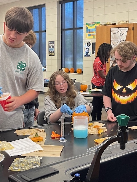 Image showing What's inside a pumpkin? Ask Mrs. Minis' Biology class! 🧠 Students spent time exploring the molecular building blocks of life by performing a hands-on lab to extract DNA from pumpkins. This simple yet powerful experiment helped them visualize DNA strands and reinforce their genetics lessons. After their lab, they enjoyed some fun carving time. Excellent job combining learning and celebration! 🖤🧡 #BiologyLab #DNAExtraction #MinisClass #ScienceEducation