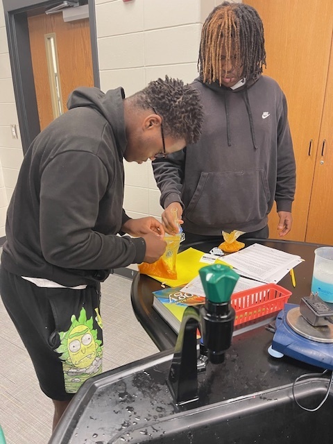Image showing What's inside a pumpkin? Ask Mrs. Minis' Biology class! 🧠 Students spent time exploring the molecular building blocks of life by performing a hands-on lab to extract DNA from pumpkins. This simple yet powerful experiment helped them visualize DNA strands and reinforce their genetics lessons. After their lab, they enjoyed some fun carving time. Excellent job combining learning and celebration! 🖤🧡 #BiologyLab #DNAExtraction #MinisClass #ScienceEducation
