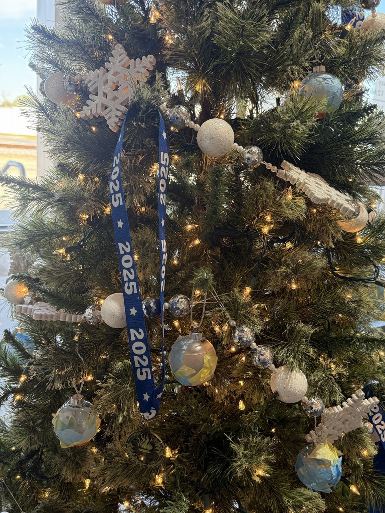 Image showing ✨Please visit the Evans County Downtown Development Authority's Festival of Trees hosted by Claxton City Hall to see the tree decorated with beautiful, custom ornaments made by the dedicated CMS/CHS Special Olympics athletes during the fall games. The Festival of Trees is on display at City Hall through January 2, 2026 during business hours (Mondays- Thursdays 8:15-4:30 and Fridays 8:15-12:00).  #HolidaySeason #AthleteArt #ClaxtonCityHall #FestiveOfTrees 🎄