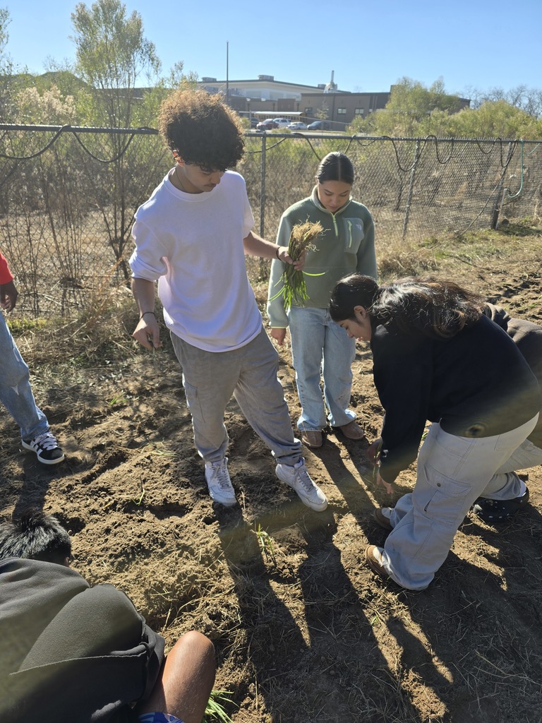 Image showing 🌱 Digging In: Onion Planting Day! Mr. Turner’s Horticulture class is getting their hands dirty and growing some future flavor! 🧅🪴 Students mastered the art of planting onions, turning classroom lessons into real-world gardening skills. It was a fantastic day of hands-on learning, teamwork, and sustainable agriculture! We can't wait to watch these little sprouts grow. Future farmers and botanists in the making! 🧑‍🌾🔬  #HorticultureClass #GardenProject #OnionPlanting #AgEducation #GrowingSkills #HighSchoolGarden #HandsOnLearning #TheDen