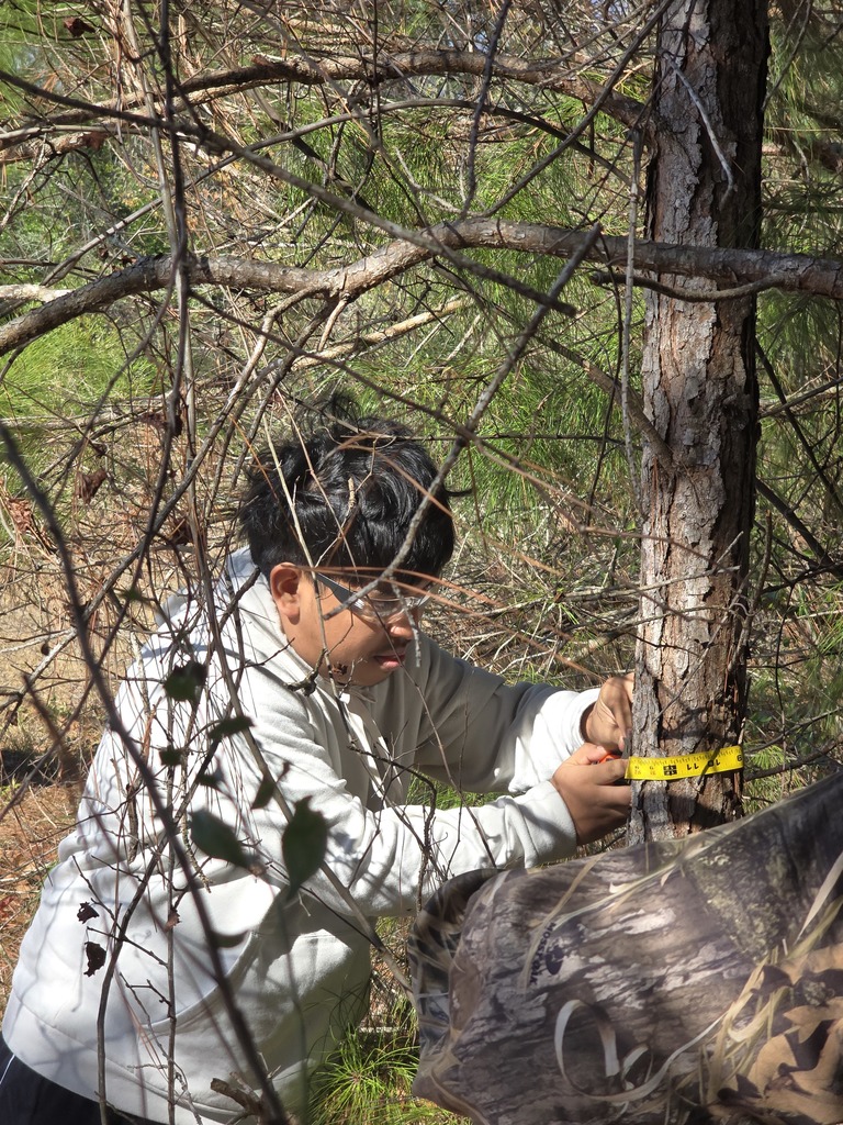 Image showing 🌳 Basic Ag Students Reading Tree Rings! 🌲 Mr. Turner's Basic Ag class is hard at work learning the science of dendrochronology (tree-ring dating)! 🧐  This hands-on technique allows students to determine a tree's exact age and even learn about its life history by examining the growth rings. What a great way to combine history, science, and agriculture! 💡  #TheDEN #BasicAg #TreeRingDating #Dendrochronology #AgScience #HandsOnLearning 🖤💛