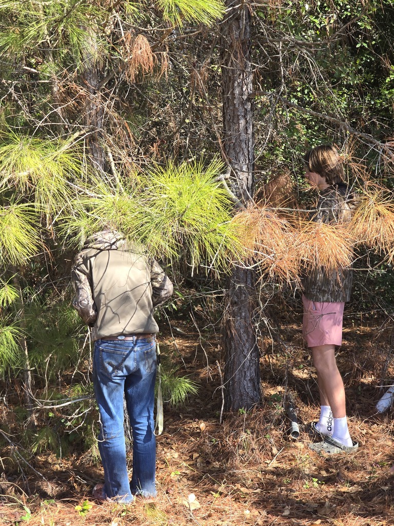 Image showing 🌳 Basic Ag Students Reading Tree Rings! 🌲 Mr. Turner's Basic Ag class is hard at work learning the science of dendrochronology (tree-ring dating)! 🧐  This hands-on technique allows students to determine a tree's exact age and even learn about its life history by examining the growth rings. What a great way to combine history, science, and agriculture! 💡  #TheDEN #BasicAg #TreeRingDating #Dendrochronology #AgScience #HandsOnLearning 🖤💛