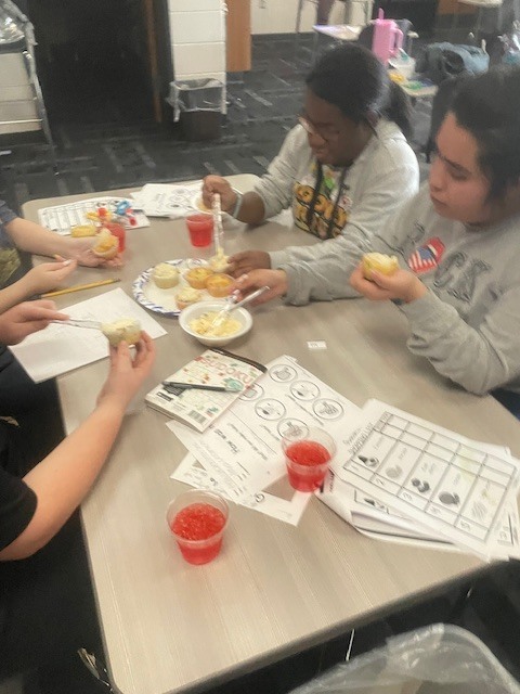 Image showing Guacamole, Cupcakes, and Great Teamwork! 🥑🧁  The CHS peer group had a busy and productive day in the kitchen! The group worked together to prepare a student-selected menu of fresh guacamole and delicious cupcakes.  While the food was fantastic, the real focus was on mastering the "ingredients" of a successful team. Students practiced:  Clear Communication: Keeping everyone on the same page.  Mutual Support: Helping teammates cross the finish line.  Organization: Maintaining a tidy and efficient workspace.  By staying organized and supporting one another, our students ensured a smooth and efficient food prep process. Great job to all our student chefs! 🖤💛  #LifeSkills #Teamwork #KitchenSkills #StudentSelected #TigerPride