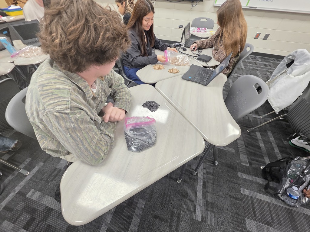 Image showing 🧟‍♂️ Modeling the "Zombie Apocalypse" in Advanced Algebra! 📊  Is it a movie set? No, it's math class! Coach Transue’s Advanced Algebra students are currently mastering exponential functions by simulating a zombie virus outbreak.  Using a population simulation with different markers, students tracked how a single "infection" can spread through a crowd. By shaking the population bags and recording how many new "zombies" appeared in each round, students were able to visualize:  Exponential Growth: How quickly a virus can spread through a healthy population.  Exponential Decay: The rapid reduction of the healthy population over time.  It was a fantastic, hands-on way to turn abstract equations into real-world (and fictional-world!) data. Great job, Tigers! 🖤💛  #AdvancedAlgebra #ExponentialGrowth #MathSimulation #HandsOnLearning