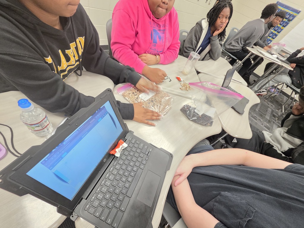 Image showing 🧟‍♂️ Modeling the "Zombie Apocalypse" in Advanced Algebra! 📊  Is it a movie set? No, it's math class! Coach Transue’s Advanced Algebra students are currently mastering exponential functions by simulating a zombie virus outbreak.  Using a population simulation with different markers, students tracked how a single "infection" can spread through a crowd. By shaking the population bags and recording how many new "zombies" appeared in each round, students were able to visualize:  Exponential Growth: How quickly a virus can spread through a healthy population.  Exponential Decay: The rapid reduction of the healthy population over time.  It was a fantastic, hands-on way to turn abstract equations into real-world (and fictional-world!) data. Great job, Tigers! 🖤💛  #AdvancedAlgebra #ExponentialGrowth #MathSimulation #HandsOnLearning