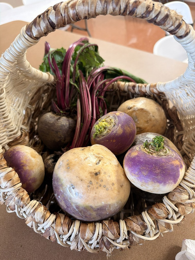 Student enjoyed learning about the Harvest of the Month, root vegetables.