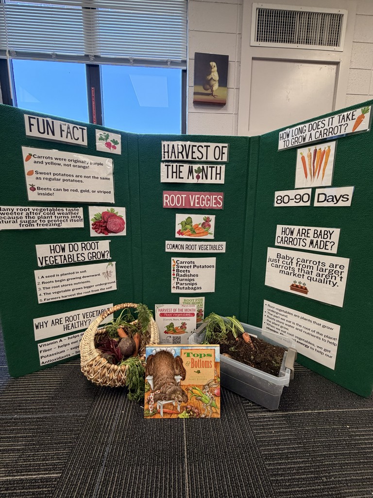 Student enjoyed learning about the Harvest of the Month, root vegetables.