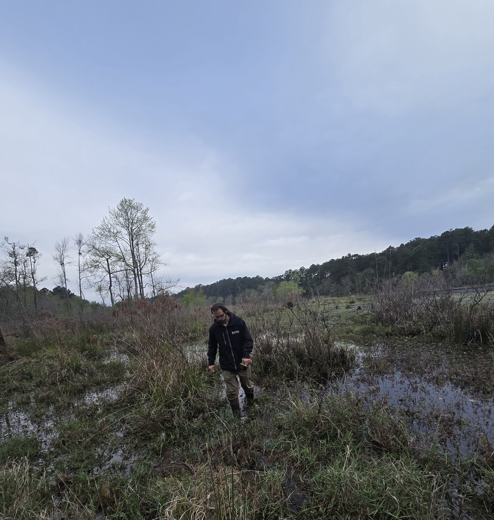 Image showing 🦆 New Five-Star Accommodations at the PFA: Ag Mechanics Builds Duck Boxes! 🪵 Our Ag Mechanics students are officially helping the local wildlife move into some prime real estate! The class completed and personally installed custom-built duck boxes at the Evans County Public Fishing Area (PFA). The students had the privilege of working alongside Caleb Mills, a Wildlife Technician at the PFA, to learn exactly where and how these boxes should be placed to best support local nesting waterfowl. This project was the perfect blend of classroom skill and environmental stewardship. What the Tigers Accomplished: Precision Woodworking: Building durable, weather-resistant duck boxes designed for the elements. Wood Preservation: Applying techniques to ensure the structures last for many seasons to come. Field Installation: Getting hands-on experience in the habitat, ensuring the boxes were securely and correctly positioned. Seeing their hard work move from the shop to the water was a proud moment for these students. A huge Thank You to Caleb Mills and the Evans County PFA team for letting our Tigers play a part in local conservation! 🐯🖤💛 #TheDEN #AgMechanics #DuckBoxes #WildlifeConservation #EvansCountyPFA #HandsOnLearning