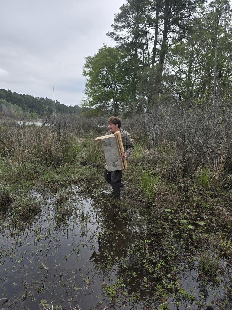 Image showing 🦆 New Five-Star Accommodations at the PFA: Ag Mechanics Builds Duck Boxes! 🪵 Our Ag Mechanics students are officially helping the local wildlife move into some prime real estate! The class completed and personally installed custom-built duck boxes at the Evans County Public Fishing Area (PFA). The students had the privilege of working alongside Caleb Mills, a Wildlife Technician at the PFA, to learn exactly where and how these boxes should be placed to best support local nesting waterfowl. This project was the perfect blend of classroom skill and environmental stewardship. What the Tigers Accomplished: Precision Woodworking: Building durable, weather-resistant duck boxes designed for the elements. Wood Preservation: Applying techniques to ensure the structures last for many seasons to come. Field Installation: Getting hands-on experience in the habitat, ensuring the boxes were securely and correctly positioned. Seeing their hard work move from the shop to the water was a proud moment for these students. A huge Thank You to Caleb Mills and the Evans County PFA team for letting our Tigers play a part in local conservation! 🐯🖤💛 #TheDEN #AgMechanics #DuckBoxes #WildlifeConservation #EvansCountyPFA #HandsOnLearning