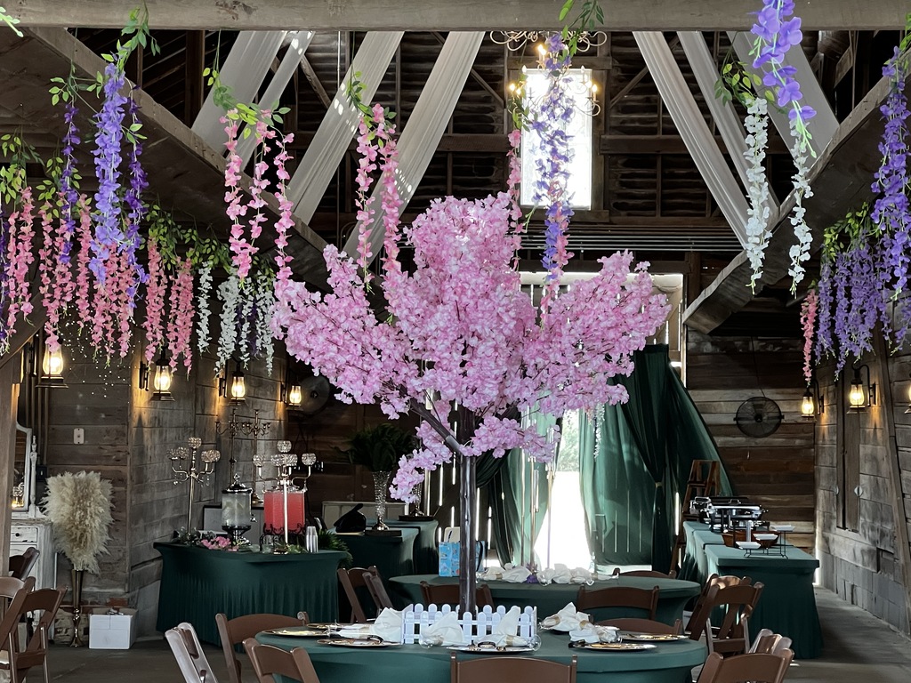 Image showing 🌲✨ Magic in the Forest: A Night to Remember! ✨🌲  Claxton High School juniors and seniors and their dates celebrated Prom at the beautiful Dutch Ford Farm in Metter on Saturday, April 4. Under the theme "Enchanted Forest," our students kicked off Spring Break in style!  The evening was a true community effort. Guests enjoyed a delicious spread of refreshments prepared by our very own CHS Culinary Arts students, led by the talented Mrs. Cindy Hart. The venue was truly transformed into a magical woodland escape thanks to the incredible eye for detail of Mr. Maurice Burney.  👑 2026 Prom Royalty 👑 The highlight of the night was the crowning of our court! Please join us in congratulating:  Prom Queen: Makenzy Bacon  Prom King: Ezra Davis  Prom Princess: Jakyla Williams  Prom Prince: Brody Dillard  Thank you to everyone who worked behind the scenes to make this a safe and spectacular night for our Tigers. We hope everyone had a restful and "enchanted" Spring Break! 🐯🖤💛  #TheDEN #Prom2026 #EnchantedForest #TigerPride #ClaxtonHighSchool