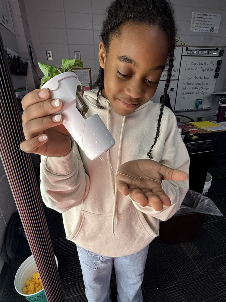 hydroponics pictures