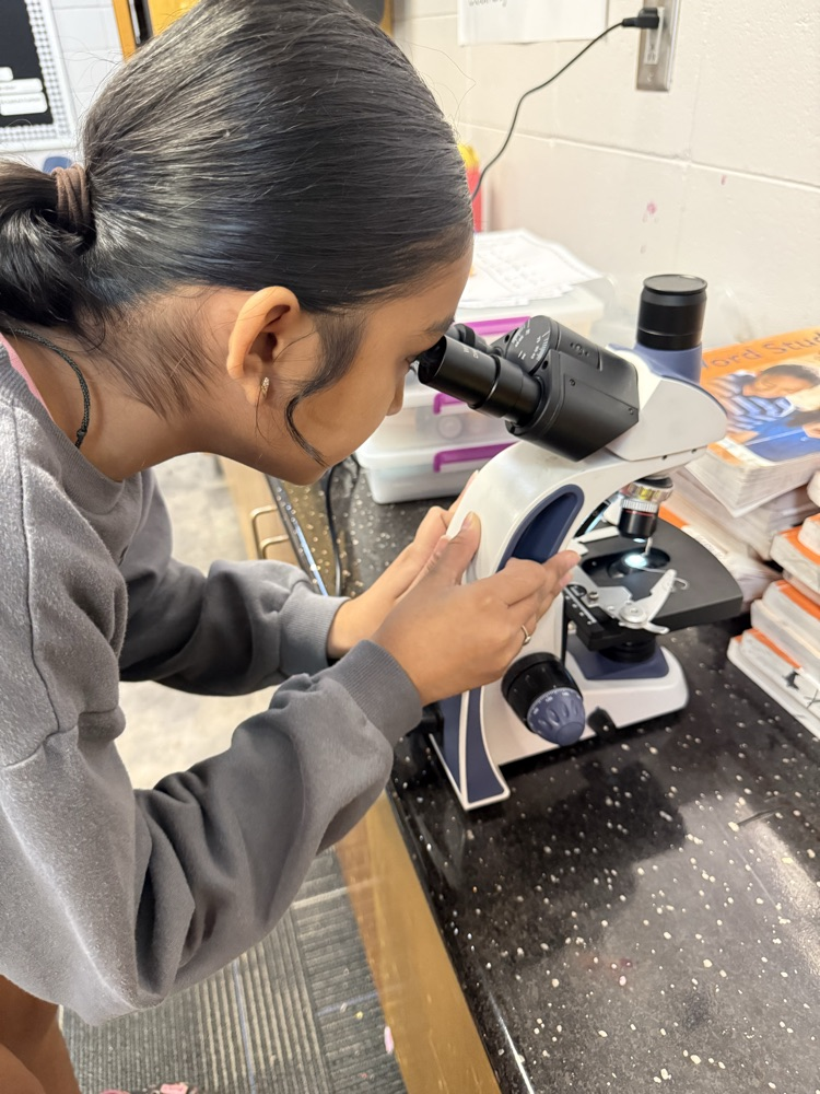 hydroponics pictures