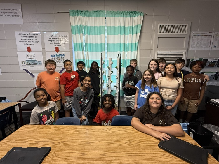 hydroponics pictures