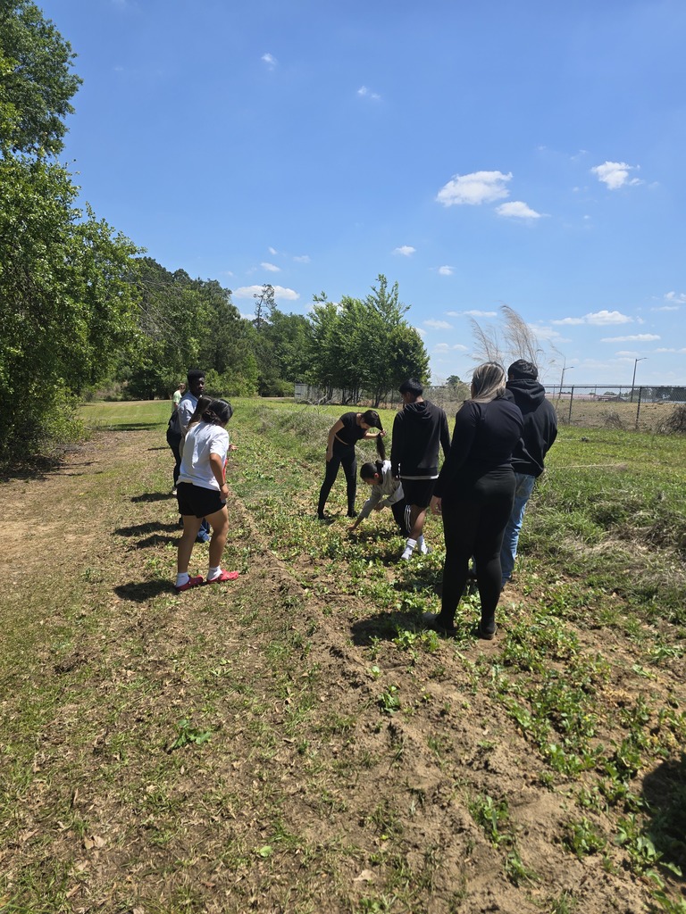 Image showing 🧪 The Art of the Pickling: Cross-Curricular Success! 🧅  Cross-curricular education is in full swing at CHS! Our Horticulture students recently harvested a beautiful crop of radishes and onions they previously planted, but instead of just a salad, they turned them into a lesson on food preservation.  Special thanks to Mrs. Hart for inviting the students to the culinary arts kitchen so she could give them a hands on less on pickling. Students learned how preservation can impact food waste, shelf life, and nutritional value.  Watching our students apply their Ag knowledge to a Culinary setting is exactly what career readiness is all about. Not only did they gain a new skill, but they also got to take home the literal "fruits" (well, technically the veggies) of their labor! 🐯💪  #TheDEN #CTAE #AgScience #FoodPreservation #LearningByDoing #ClaxtonHigh