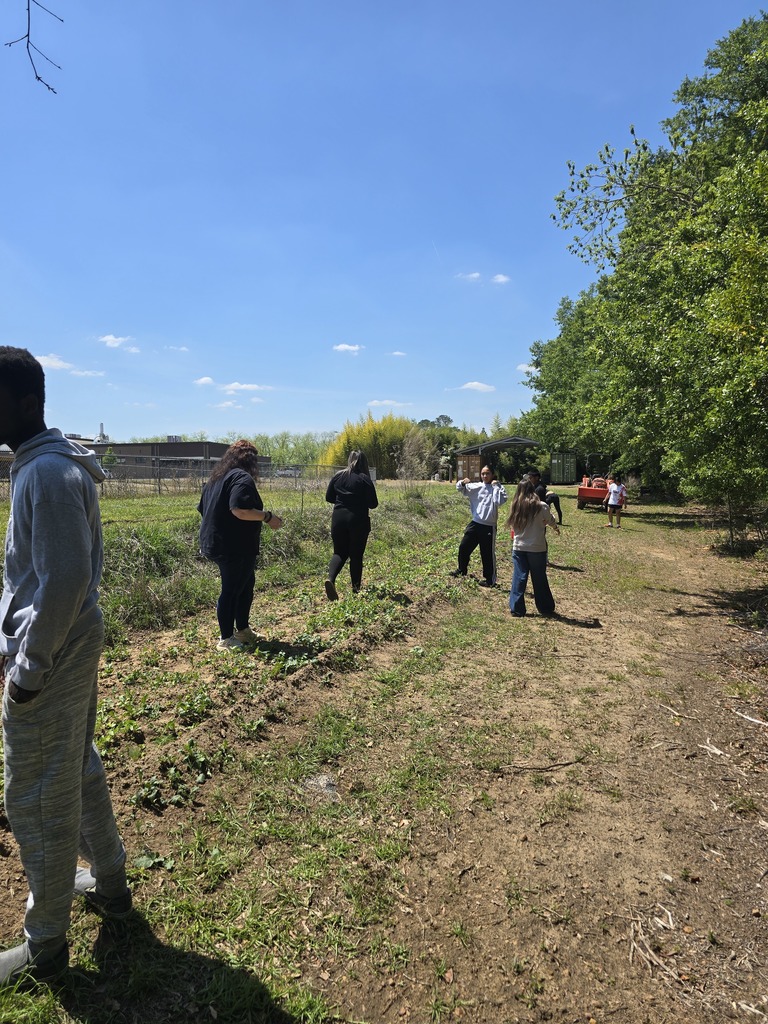 Image showing 🧪 The Art of the Pickling: Cross-Curricular Success! 🧅  Cross-curricular education is in full swing at CHS! Our Horticulture students recently harvested a beautiful crop of radishes and onions they previously planted, but instead of just a salad, they turned them into a lesson on food preservation.  Special thanks to Mrs. Hart for inviting the students to the culinary arts kitchen so she could give them a hands on less on pickling. Students learned how preservation can impact food waste, shelf life, and nutritional value.  Watching our students apply their Ag knowledge to a Culinary setting is exactly what career readiness is all about. Not only did they gain a new skill, but they also got to take home the literal "fruits" (well, technically the veggies) of their labor! 🐯💪  #TheDEN #CTAE #AgScience #FoodPreservation #LearningByDoing #ClaxtonHigh