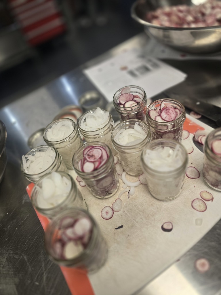 Image showing 🧪 The Art of the Pickling: Cross-Curricular Success! 🧅  Cross-curricular education is in full swing at CHS! Our Horticulture students recently harvested a beautiful crop of radishes and onions they previously planted, but instead of just a salad, they turned them into a lesson on food preservation.  Special thanks to Mrs. Hart for inviting the students to the culinary arts kitchen so she could give them a hands on less on pickling. Students learned how preservation can impact food waste, shelf life, and nutritional value.  Watching our students apply their Ag knowledge to a Culinary setting is exactly what career readiness is all about. Not only did they gain a new skill, but they also got to take home the literal "fruits" (well, technically the veggies) of their labor! 🐯💪  #TheDEN #CTAE #AgScience #FoodPreservation #LearningByDoing #ClaxtonHigh