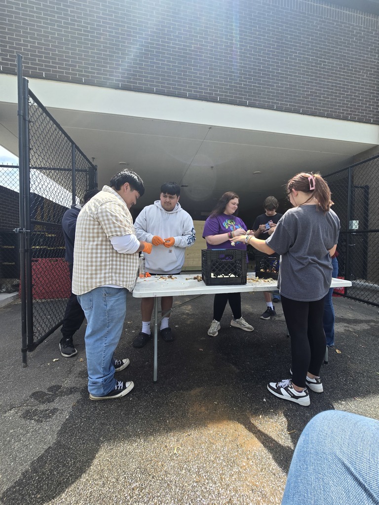Image showing 🧪 The Art of the Pickling: Cross-Curricular Success! 🧅  Cross-curricular education is in full swing at CHS! Our Horticulture students recently harvested a beautiful crop of radishes and onions they previously planted, but instead of just a salad, they turned them into a lesson on food preservation.  Special thanks to Mrs. Hart for inviting the students to the culinary arts kitchen so she could give them a hands on less on pickling. Students learned how preservation can impact food waste, shelf life, and nutritional value.  Watching our students apply their Ag knowledge to a Culinary setting is exactly what career readiness is all about. Not only did they gain a new skill, but they also got to take home the literal "fruits" (well, technically the veggies) of their labor! 🐯💪  #TheDEN #CTAE #AgScience #FoodPreservation #LearningByDoing #ClaxtonHigh