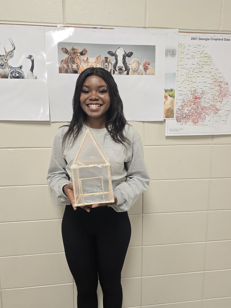 Image shows Mini Greenhouses, Major Skills! 🏗️🌱✨  Mr. Turner’s Horticulture students just leveled up! After studying different structural designs, they went hands-on to build their own mini greenhouses. 🔨  From frame design to climate control, these Tigers are learning exactly what it takes to keep a crop thriving. 🌡️🌿   #TheDEN #Horticulture #MiniGreenhouse #AgKids #ClaxtonHighSchool #HandsOnAg