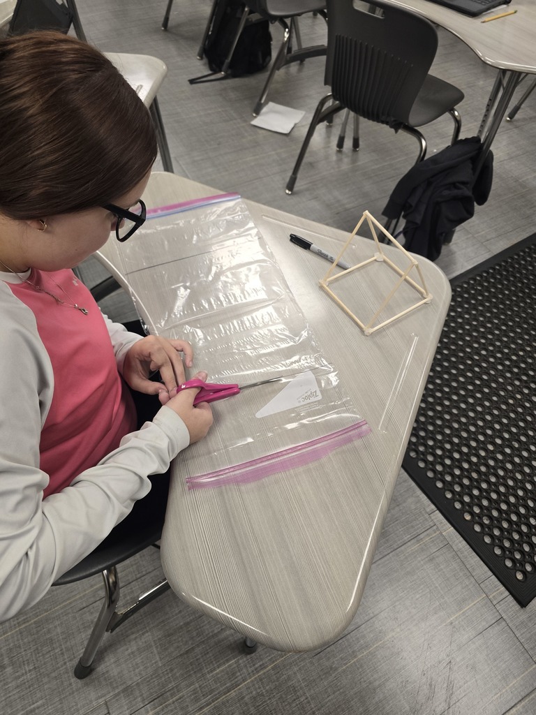 Image shows Mini Greenhouses, Major Skills! 🏗️🌱✨  Mr. Turner’s Horticulture students just leveled up! After studying different structural designs, they went hands-on to build their own mini greenhouses. 🔨  From frame design to climate control, these Tigers are learning exactly what it takes to keep a crop thriving. 🌡️🌿   #TheDEN #Horticulture #MiniGreenhouse #AgKids #ClaxtonHighSchool #HandsOnAg