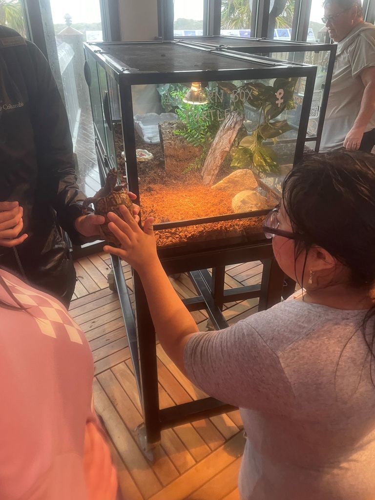 Image showing 🐚 Science, Sand, and Spectacular Memories 🐚  Who says learning only happens indoors? On Friday, May 1,  2026, students from the class of Ms. Johnson, Ms. McNeal, and Ms. Martin headed to Tybee Island for a deep dive into marine biology!  From sifting through the sand to find shore-dwelling creatures to exploring the galleries at the Marine Science Center, our students were true explorers. They didn't just read about the ecosystem—they felt the sand, smelled the salt air, and saw the wildlife firsthand.  Despite the rain during the beach portion of the trip, the smiles stayed bright. It was a day filled with discovery, teamwork, and the kind of memories that last a lifetime. Way to go, Tigers! 🐯🌊  #ClaxtonHigh #MarineBiology #TybeeIslandMSC #FieldTripFun #HandsOnScience