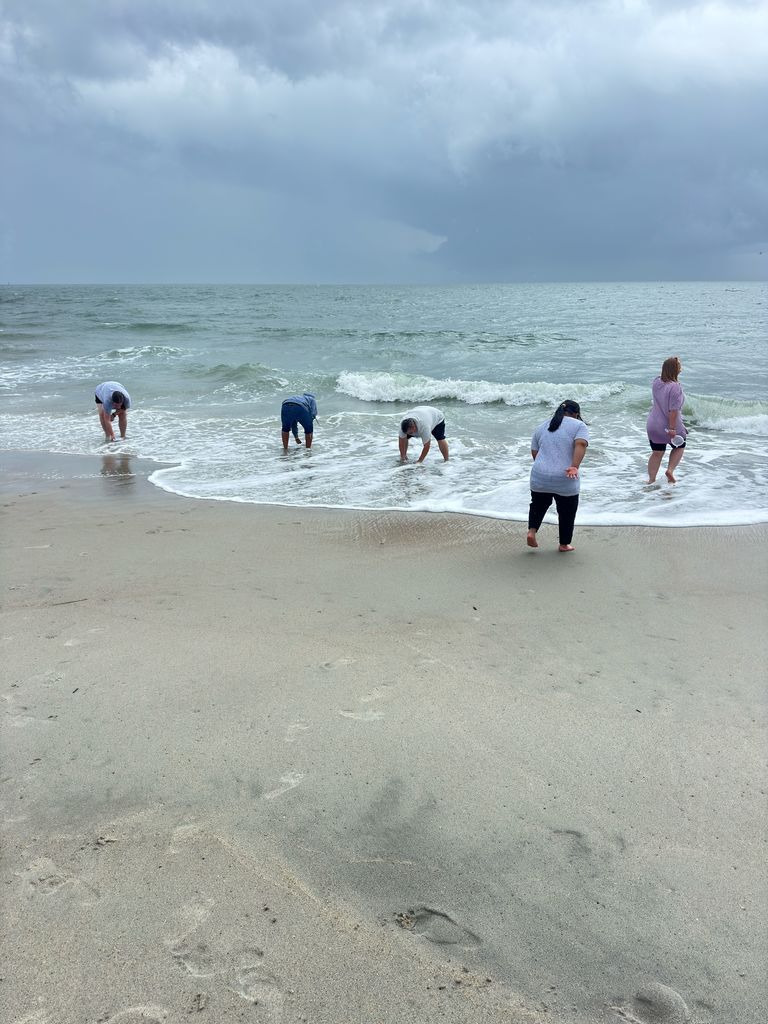 Image showing 🐚 Science, Sand, and Spectacular Memories 🐚  Who says learning only happens indoors? On Friday, May 1,  2026, students from the class of Ms. Johnson, Ms. McNeal, and Ms. Martin headed to Tybee Island for a deep dive into marine biology!  From sifting through the sand to find shore-dwelling creatures to exploring the galleries at the Marine Science Center, our students were true explorers. They didn't just read about the ecosystem—they felt the sand, smelled the salt air, and saw the wildlife firsthand.  Despite the rain during the beach portion of the trip, the smiles stayed bright. It was a day filled with discovery, teamwork, and the kind of memories that last a lifetime. Way to go, Tigers! 🐯🌊  #ClaxtonHigh #MarineBiology #TybeeIslandMSC #FieldTripFun #HandsOnScience
