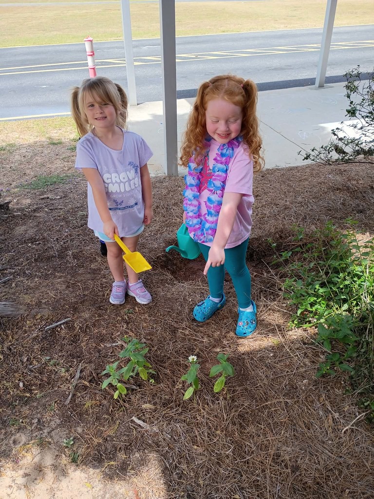 PreK Harvest