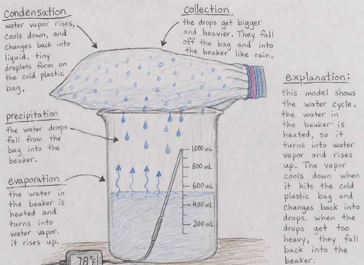 water cycle lab