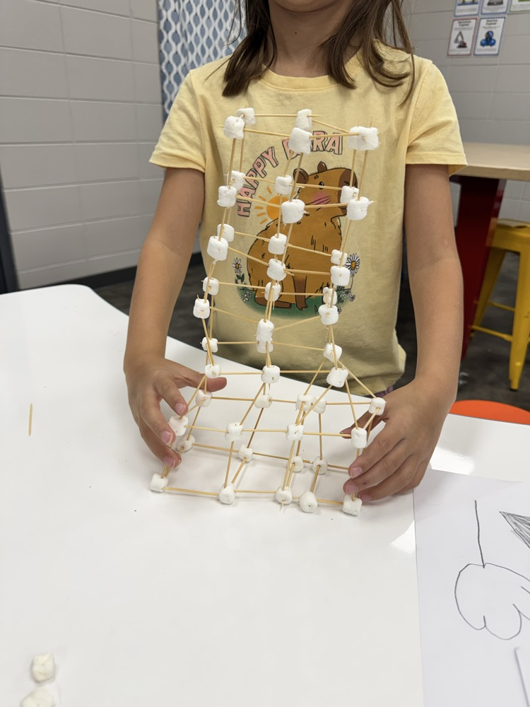 STEM Challenge