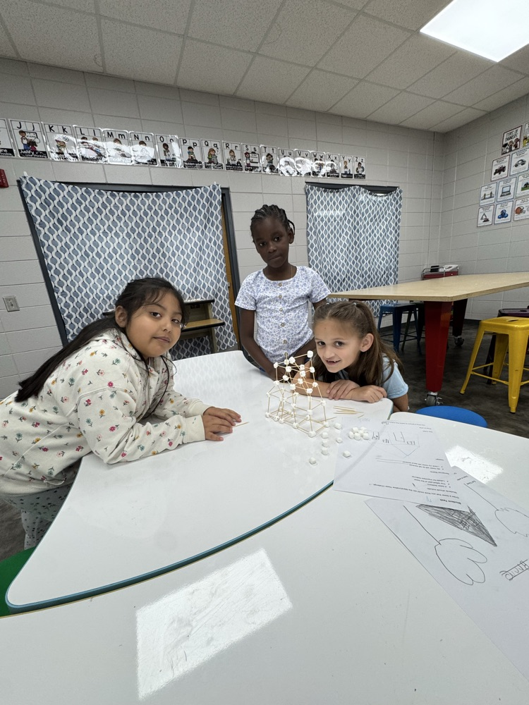 STEM Challenge