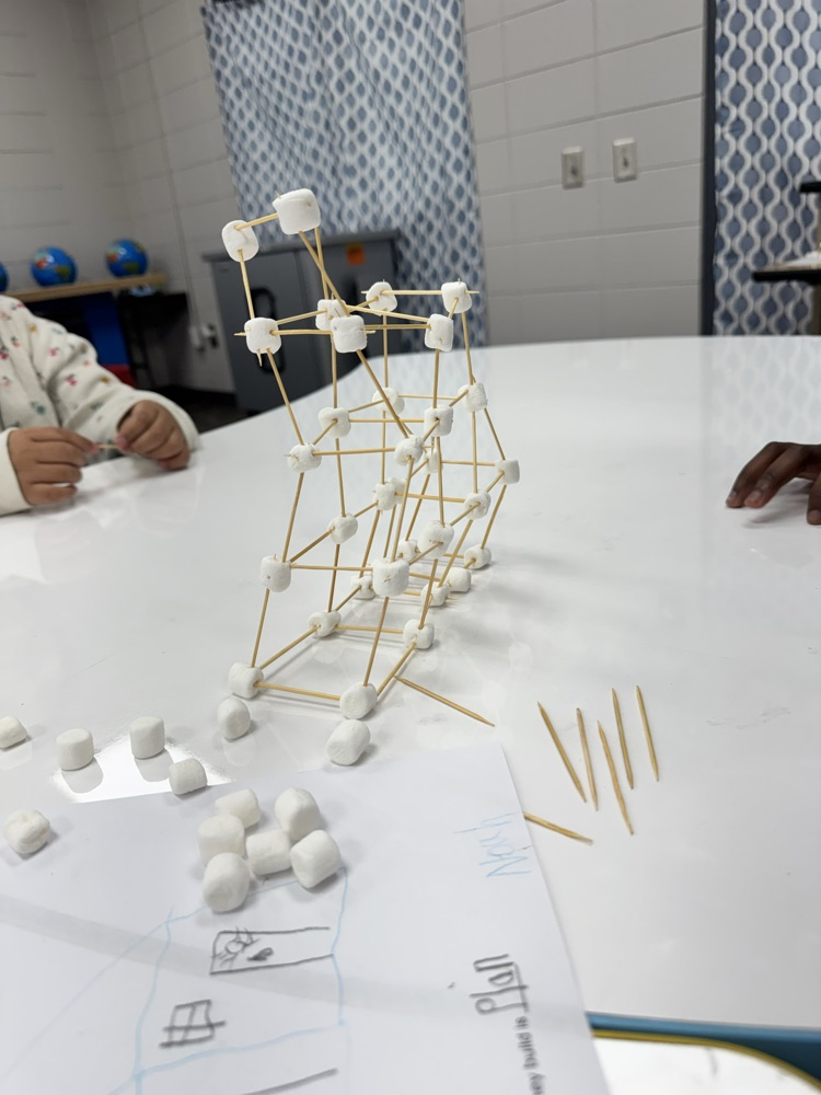 STEM Challenge