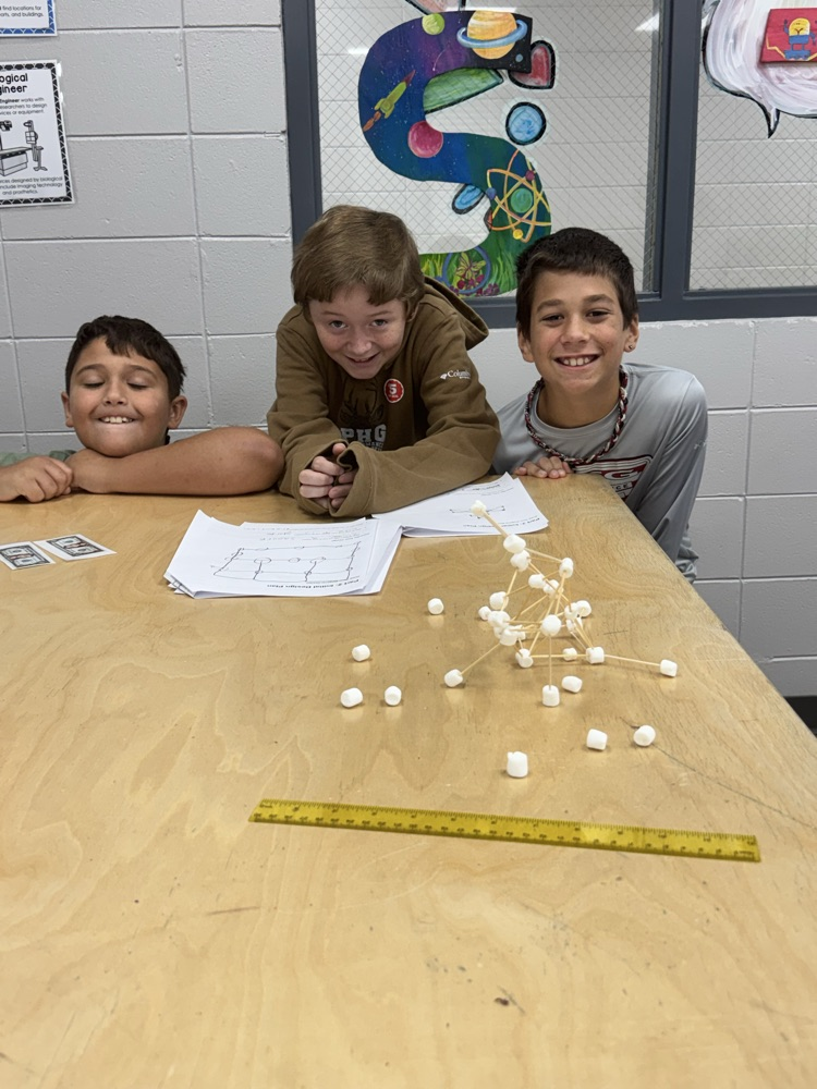 STEM Challenge