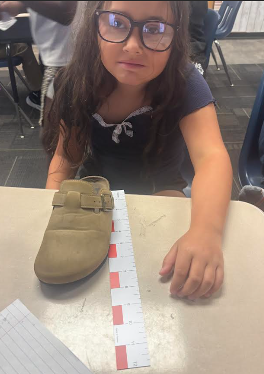 3rd grade math