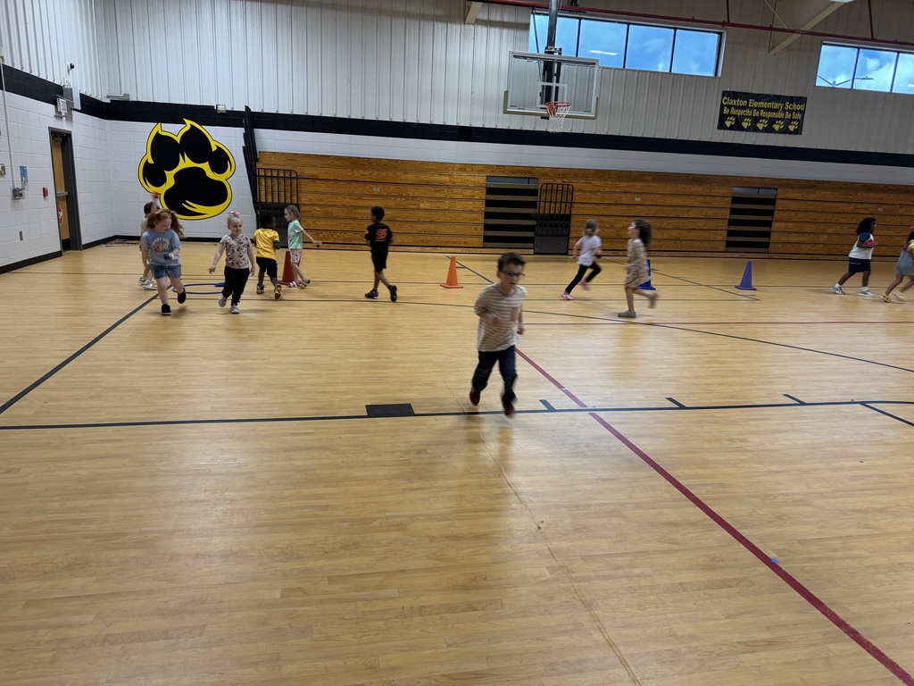 🌴☀️ A Perfect Day to Say Farewell to Summer! ☀️🌴  Ms. Cere’s Kindergarten class had a summer-filled day in PE as they collected coconuts for their very own summer trees! 🥥🌴  While having fun, our little learners were also practicing spatial awareness, physical movement, and following directions through running, skipping, jumping, and more! 🏃‍♀️🏃‍♂️🤸‍♀️  What a fun way to learn, move, and make memories while saying farewell to summer! 💛  #PardonOurProgress #SuccessUnderConstruction #ClaxtonElementary #CES #TigerPride #Kindergarten #PEFun #LearningThroughPlay #ActiveLearners #FarewellSummer