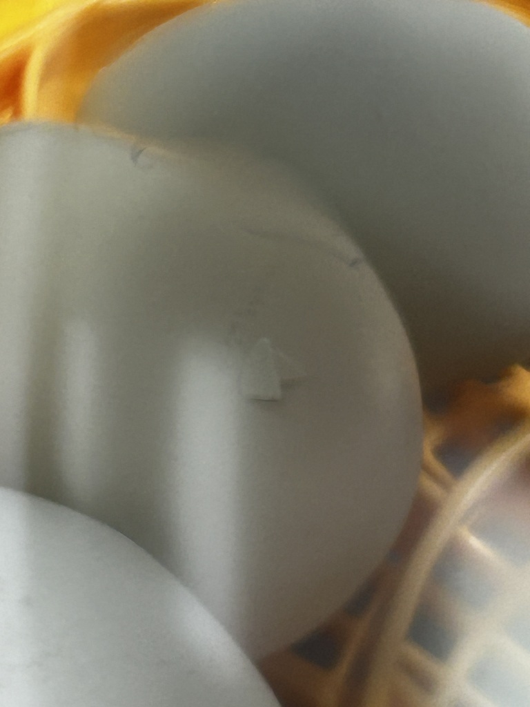 Chicken Hatching Out