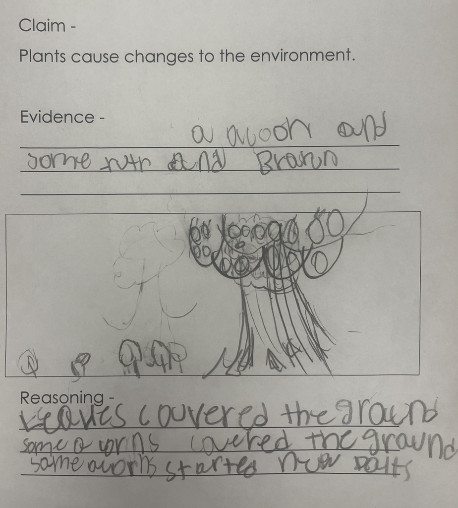 Students investigating changes in the environment