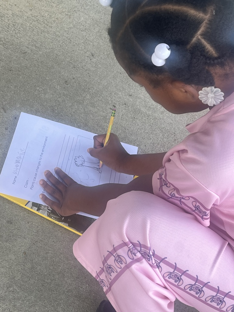 Students investigating changes in the environment