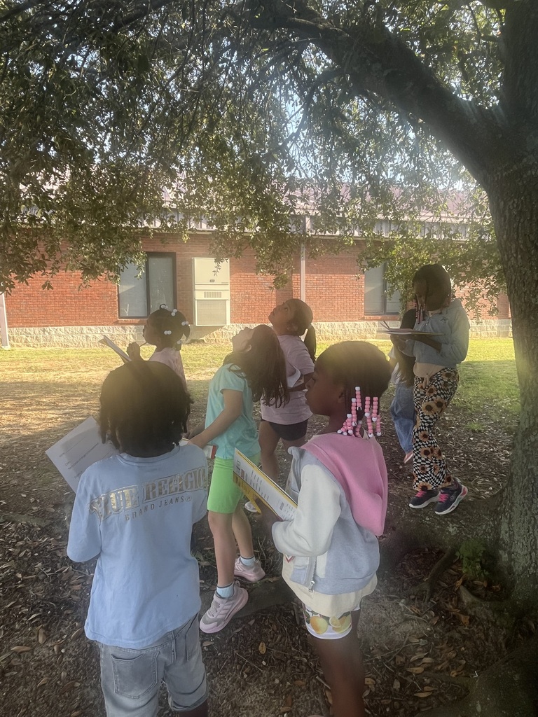Students investigating changes in the environment