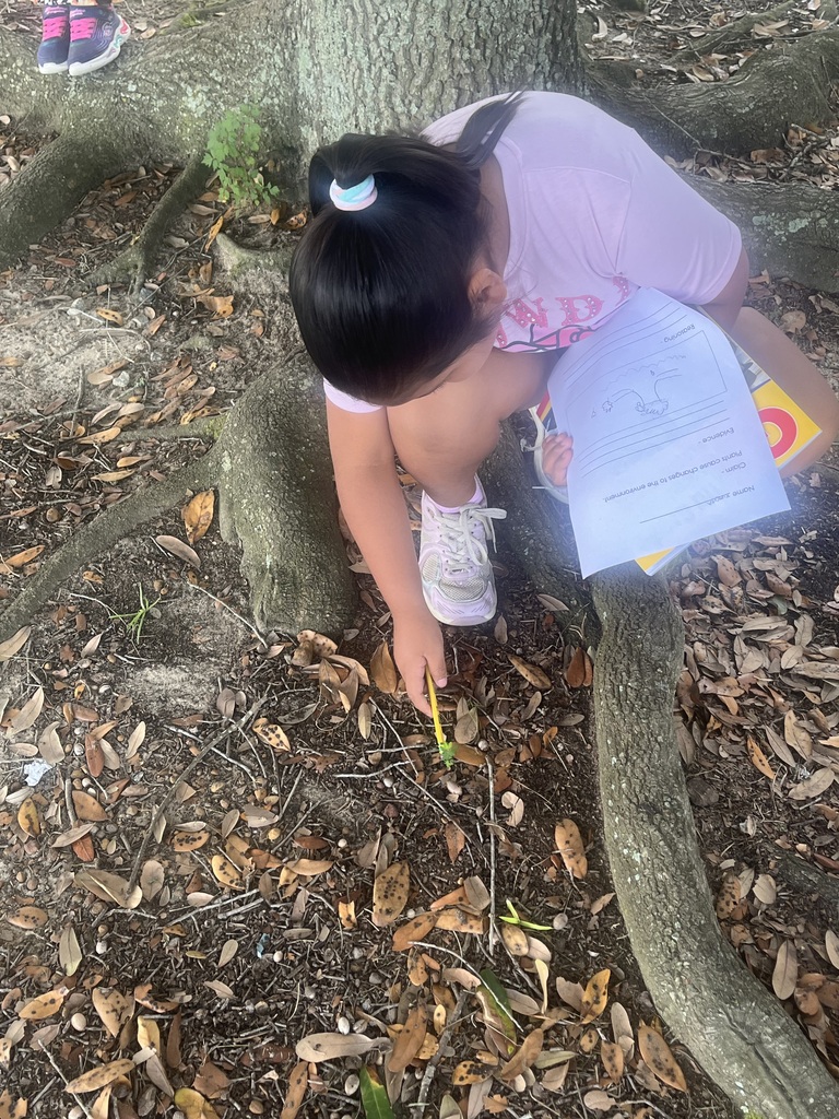 Students investigating changes in the environment
