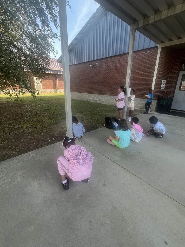 Students investigating changes in the environment