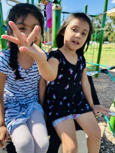 🐞💗 Caught with the Love Bugs! 💗🐞 It looks like our playground has been invaded by some tiny love bugs! 🐞✨ These little explorers from Mrs. Kelly’s class didn’t mind one bit—they were too busy getting a closer look at their tiny new friends! 🔍❤️ Who needs a science lab when you have recess? 🌱☀️ Just another day of learning, exploring, laughing, and making memories in kindergarten! 🥰📚 #PardonOurProgress #SuccessUnderConstruction #ClaxtonTigers #CESProud #KindergartenFun #LearningThroughPlay