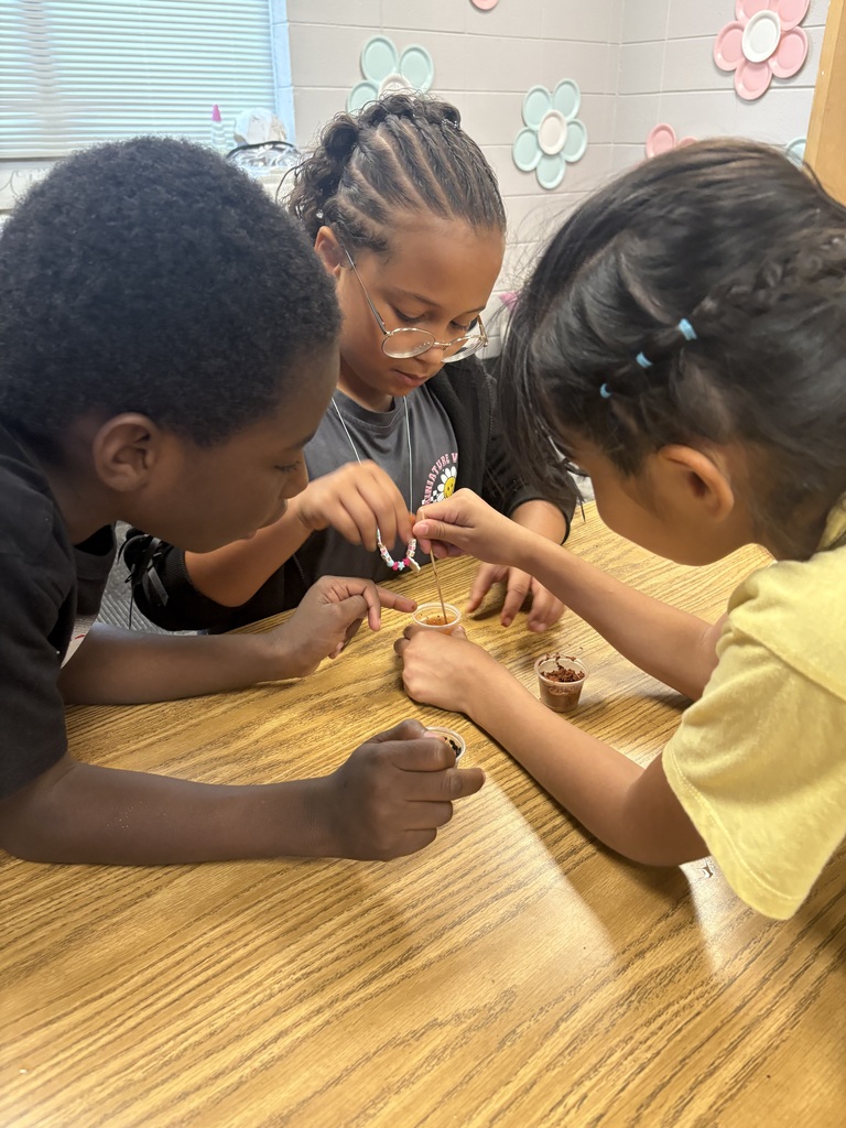 🌱🔎 Soil Science in Action! 🔎🌱 Students in Mrs. Cason’s class got their hands dirty while investigating sand, clay, and loam! 🪴 Students made observations and drew conclusions about how each type of soil holds water and which would be the best choice for supporting healthy plant growth. We love seeing our Tigers learning through hands-on exploration and scientific discovery! 🐯🌱 #ClaxtonTigers #CESProud #SuccessUnderConstruction #PardonOurProgress #STEMLearning #ScienceInAction