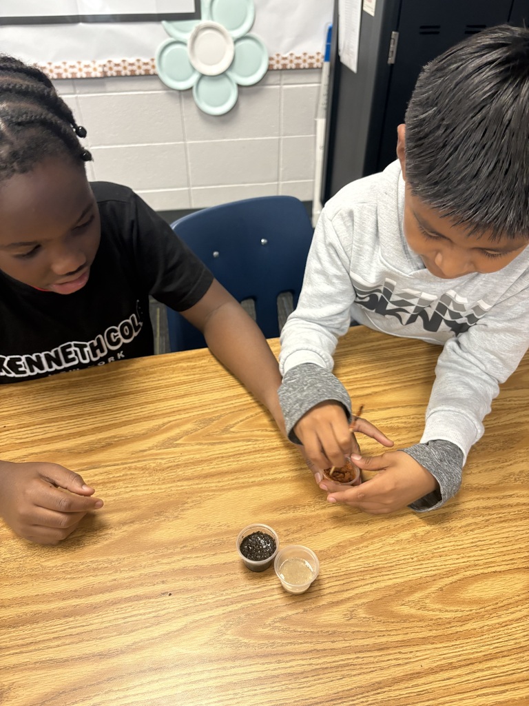 🌱🔎 Soil Science in Action! 🔎🌱 Students in Mrs. Cason’s class got their hands dirty while investigating sand, clay, and loam! 🪴 Students made observations and drew conclusions about how each type of soil holds water and which would be the best choice for supporting healthy plant growth. We love seeing our Tigers learning through hands-on exploration and scientific discovery! 🐯🌱 #ClaxtonTigers #CESProud #SuccessUnderConstruction #PardonOurProgress #STEMLearning #ScienceInAction
