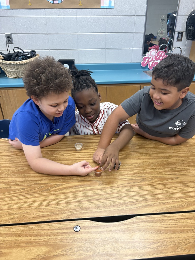 🌱🔎 Soil Science in Action! 🔎🌱 Students in Mrs. Cason’s class got their hands dirty while investigating sand, clay, and loam! 🪴 Students made observations and drew conclusions about how each type of soil holds water and which would be the best choice for supporting healthy plant growth. We love seeing our Tigers learning through hands-on exploration and scientific discovery! 🐯🌱 #ClaxtonTigers #CESProud #SuccessUnderConstruction #PardonOurProgress #STEMLearning #ScienceInAction