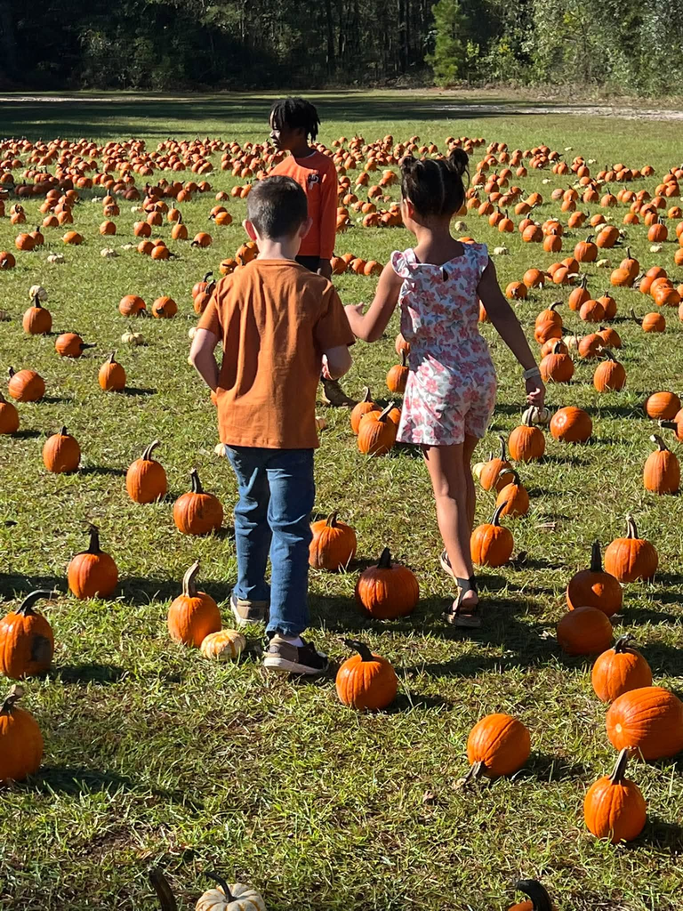 🎃🍂 Our 1st graders had a gourd time visiting Poppell Farms Pumpkin Patch! 🧡🐐 From fall fun to making memories with friends, our Tigers had a wonderful time enjoying this seasonal adventure! Thank you to Poppell Farms for helping make this a special experience for our students! 🧡 #ClaxtonTigers #CESProud #PardonOurProgress #SuccessUnderConstruction