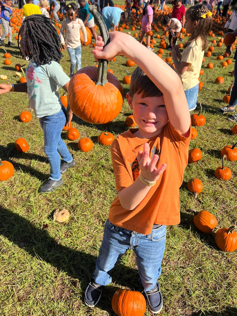 🎃🍂 Our 1st graders had a gourd time visiting Poppell Farms Pumpkin Patch! 🧡🐐 From fall fun to making memories with friends, our Tigers had a wonderful time enjoying this seasonal adventure! Thank you to Poppell Farms for helping make this a special experience for our students! 🧡 #ClaxtonTigers #CESProud #PardonOurProgress #SuccessUnderConstruction